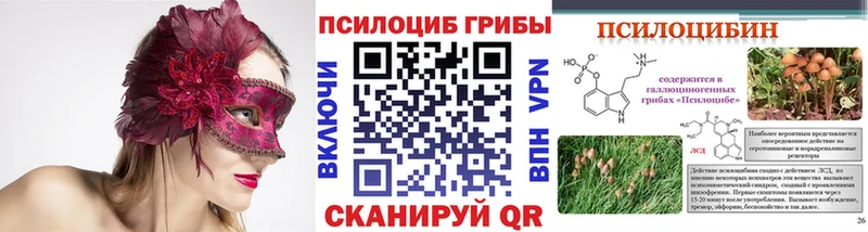 где купить наркотик  Боготол  shop клад  Псилоцибиновые грибы Cubensis 